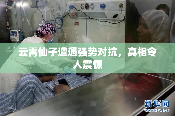 云霄仙子遭遇强势对抗，真相令人震惊
