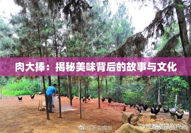 肉大捧：揭秘美味背后的故事与文化