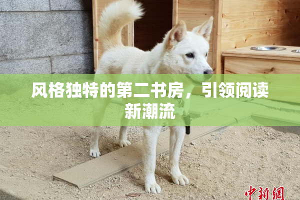 风格独特的第二书房，引领阅读新潮流