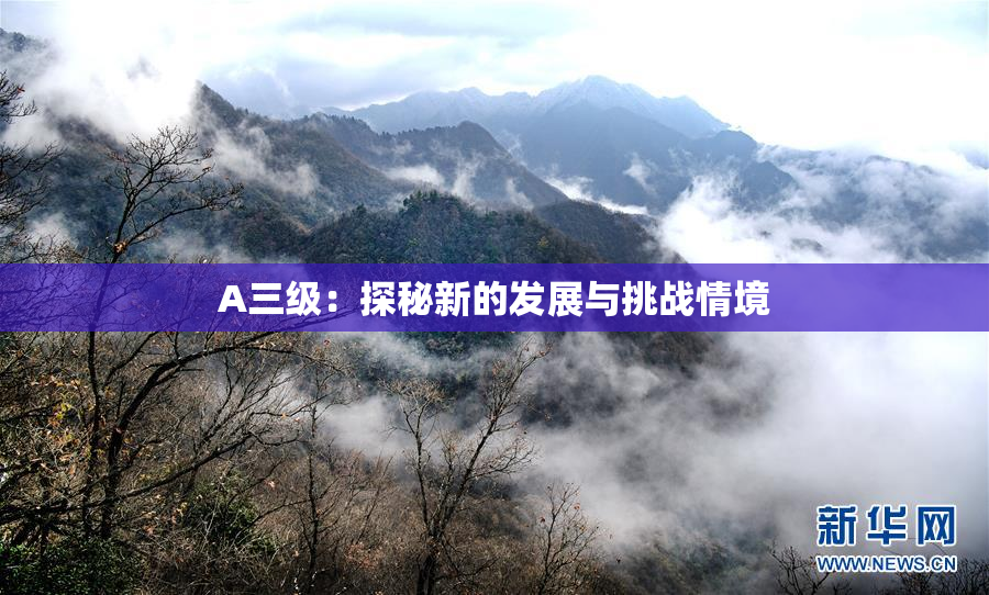 A三级：探秘新的发展与挑战情境
