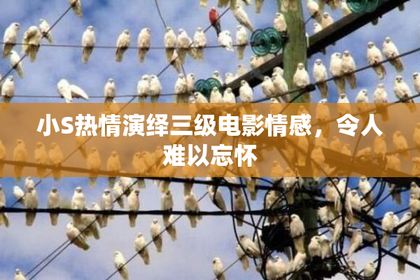 小S热情演绎三级电影情感，令人难以忘怀