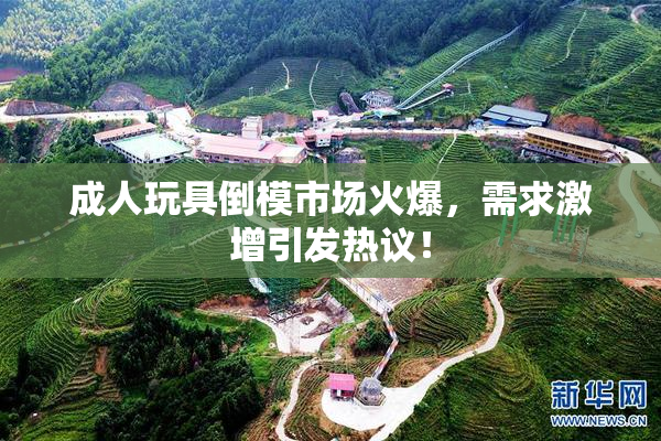 成人玩具倒模市场火爆，需求激增引发热议！