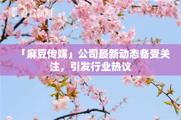 「麻豆传媒」公司最新动态备受关注，引发行业热议