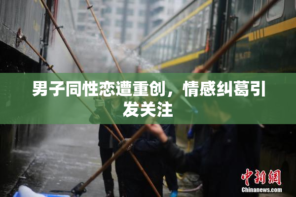 男子同性恋遭重创，情感纠葛引发关注