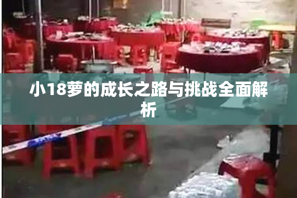 小18萝的成长之路与挑战全面解析