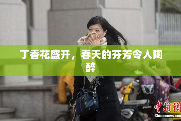 丁香花盛开，春天的芬芳令人陶醉