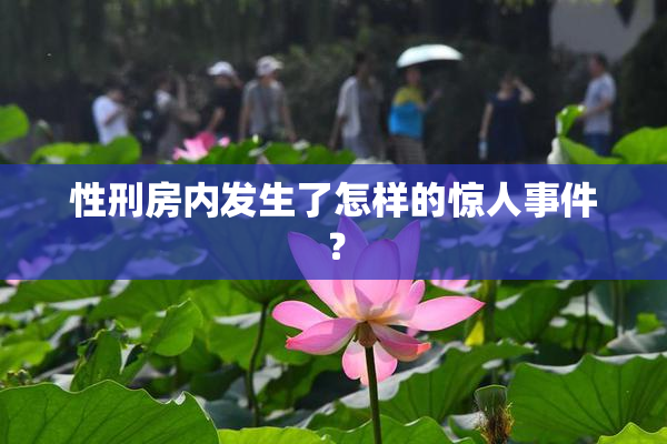 性刑房内发生了怎样的惊人事件？