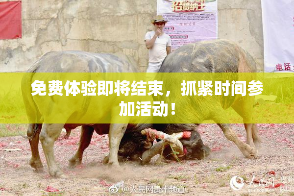 免费体验即将结束，抓紧时间参加活动！