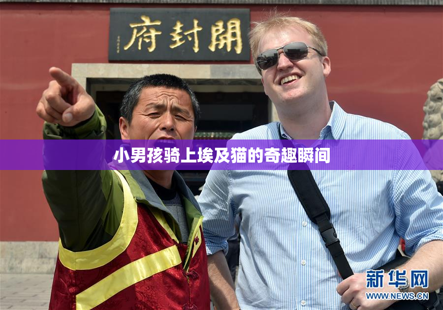 小男孩骑上埃及猫的奇趣瞬间