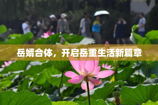 岳婿合体，开启岳重生活新篇章