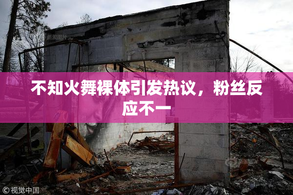 不知火舞裸体引发热议，粉丝反应不一