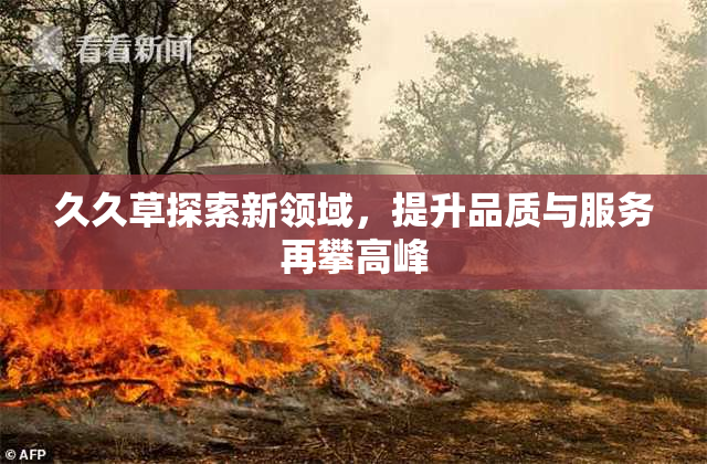 久久草探索新领域，提升品质与服务再攀高峰