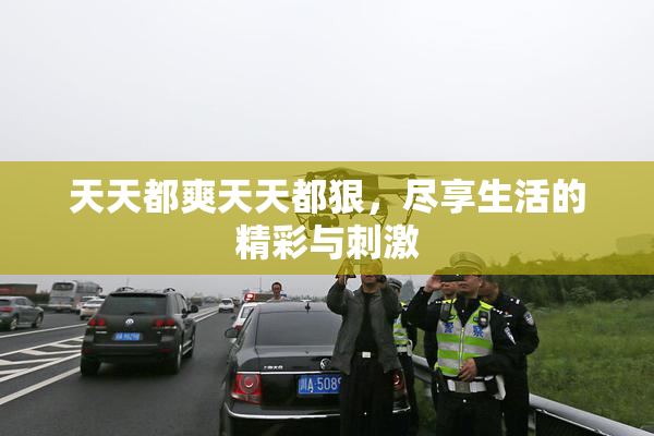 天天都爽天天都狠，尽享生活的精彩与刺激