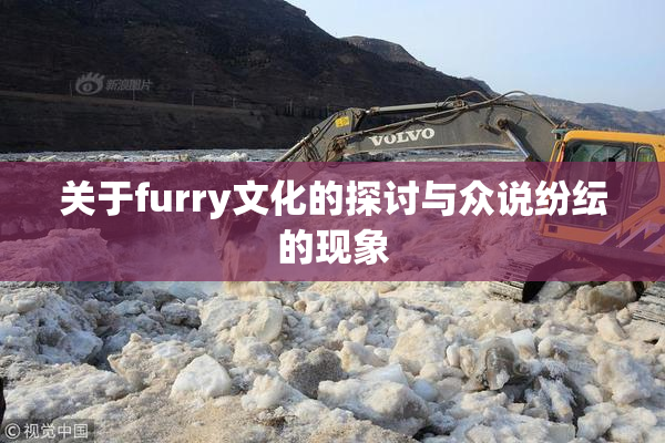 关于furry文化的探讨与众说纷纭的现象