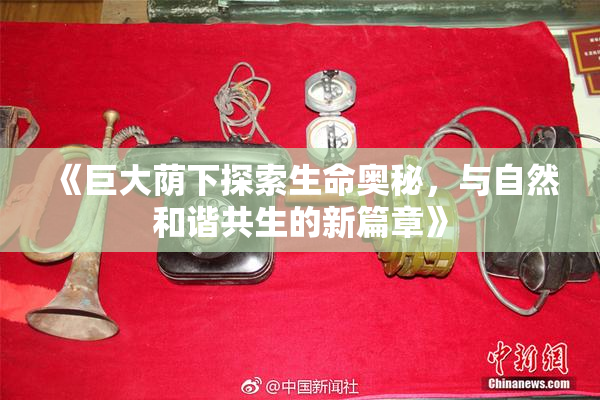 《巨大荫下探索生命奥秘，与自然和谐共生的新篇章》
