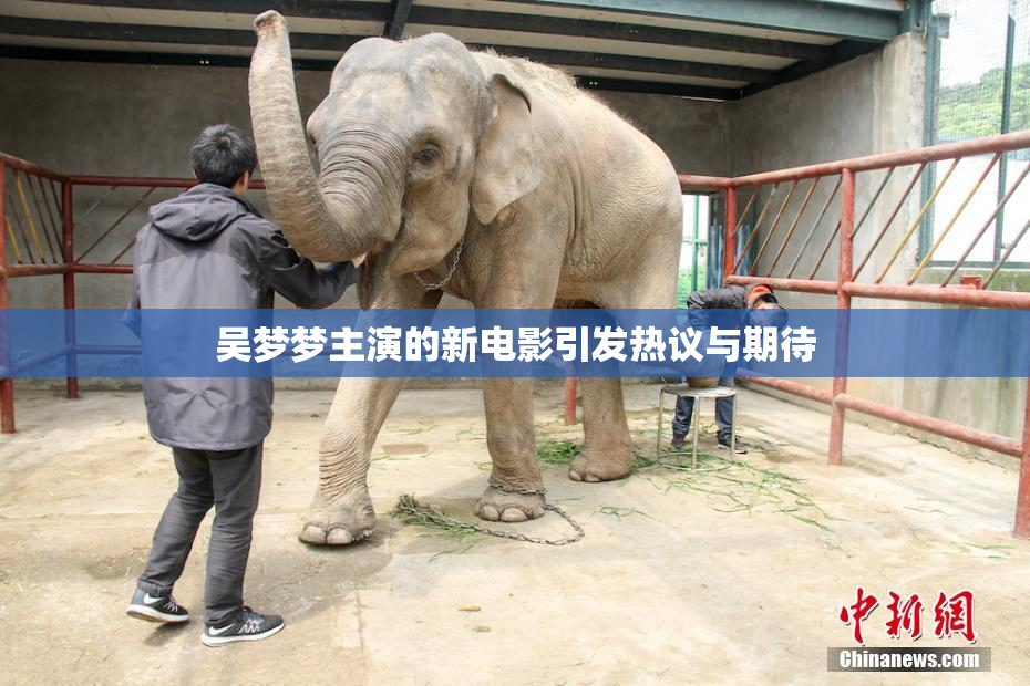 吴梦梦主演的新电影引发热议与期待
