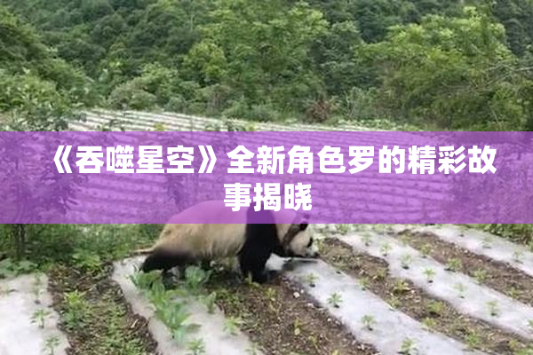 《吞噬星空》全新角色罗的精彩故事揭晓