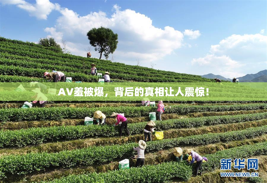 AV羞被爆，背后的真相让人震惊！