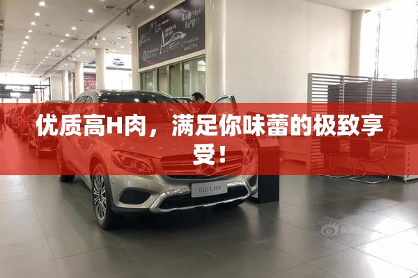 优质高H肉，满足你味蕾的极致享受！
