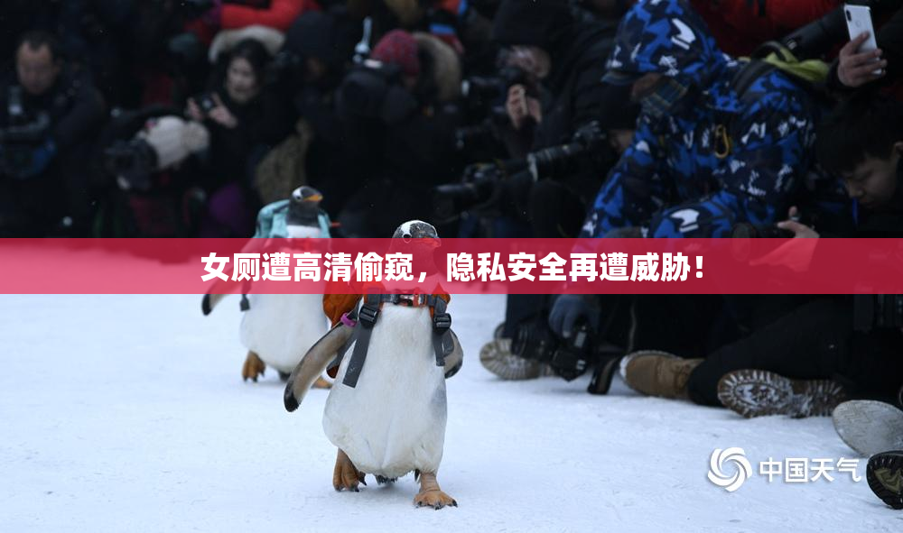 女厕遭高清偷窥，隐私安全再遭威胁！