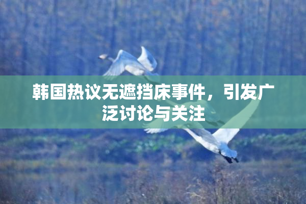 韩国热议无遮挡床事件，引发广泛讨论与关注