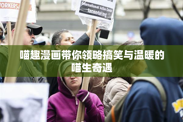 喵趣漫画带你领略搞笑与温暖的喵生奇遇
