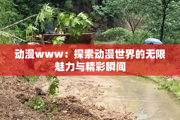 动漫www：探索动漫世界的无限魅力与精彩瞬间