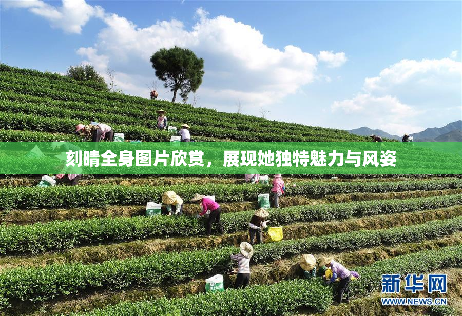 刻晴全身图片欣赏，展现她独特魅力与风姿
