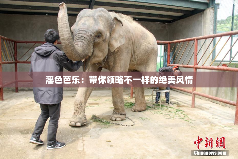 淫色芭乐：带你领略不一样的绝美风情