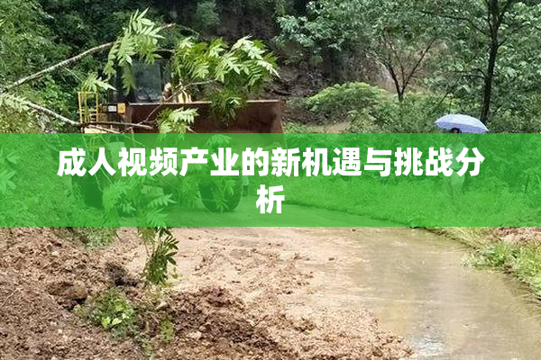 成人视频产业的新机遇与挑战分析