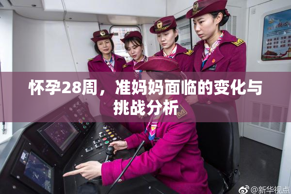 怀孕28周，准妈妈面临的变化与挑战分析
