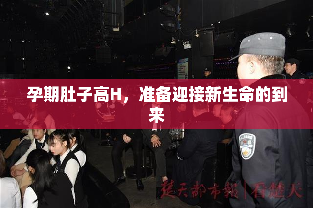 孕期肚子高H，准备迎接新生命的到来