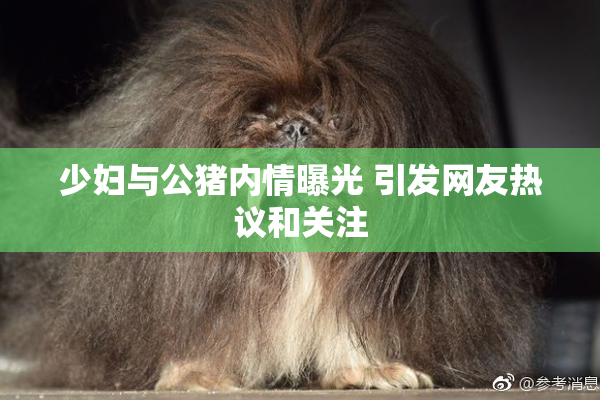 少妇与公猪内情曝光 引发网友热议和关注