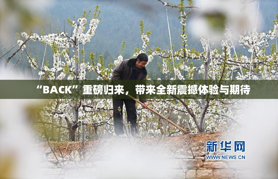 “BACK”重磅归来，带来全新震撼体验与期待