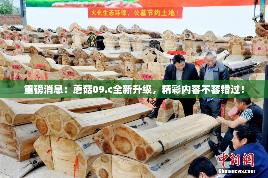 重磅消息：蘑菇09.c全新升级，精彩内容不容错过！