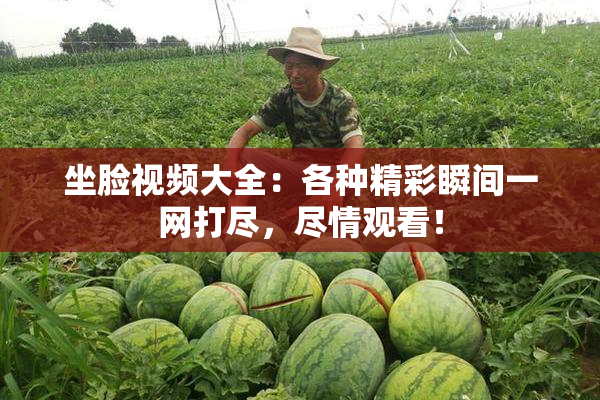 坐脸视频大全：各种精彩瞬间一网打尽，尽情观看！