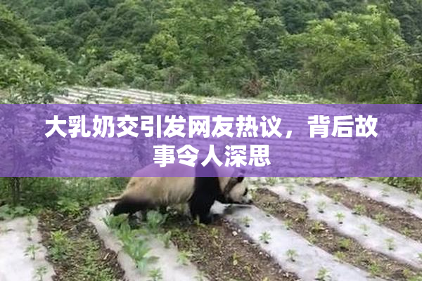 大乳奶交引发网友热议，背后故事令人深思