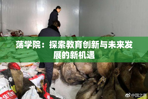 荡学院：探索教育创新与未来发展的新机遇