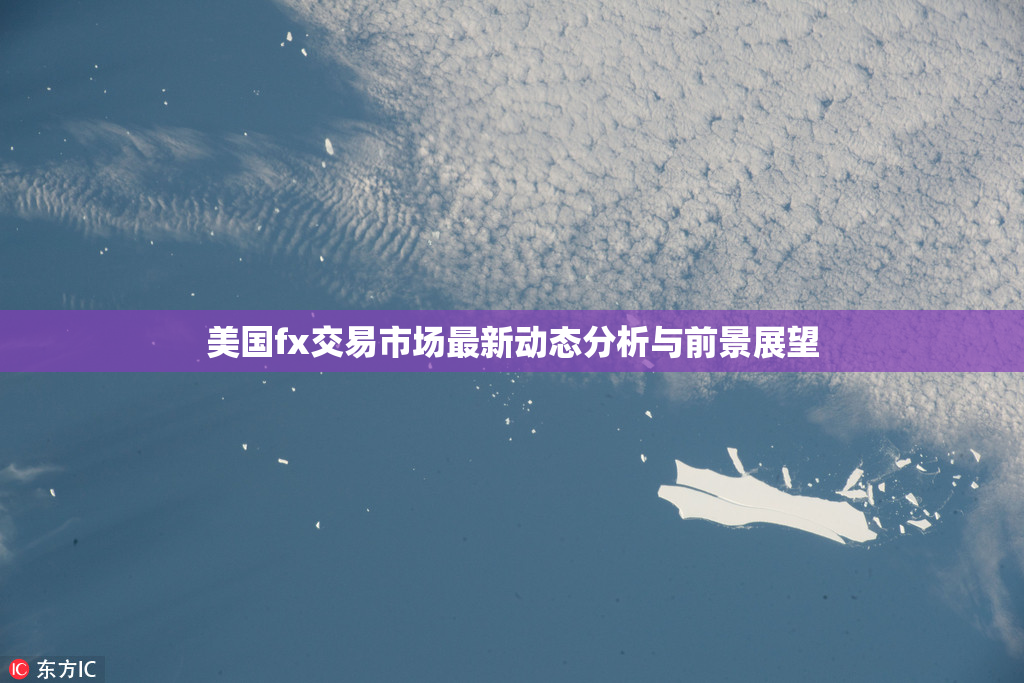 美国fx交易市场最新动态分析与前景展望