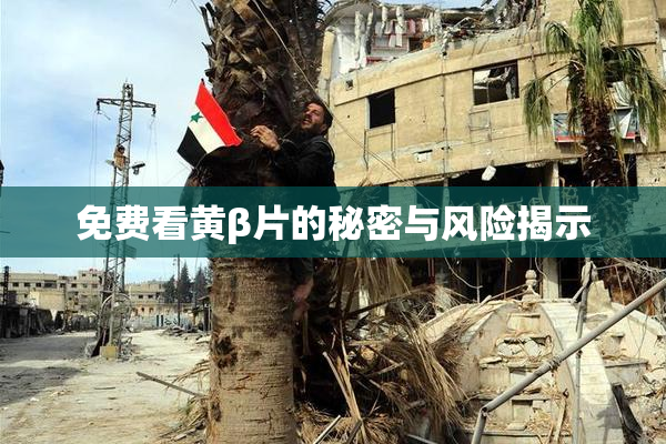 免费看黄β片的秘密与风险揭示