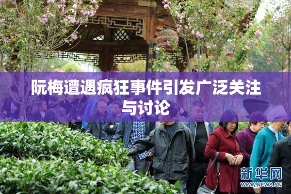 阮梅遭遇疯狂事件引发广泛关注与讨论