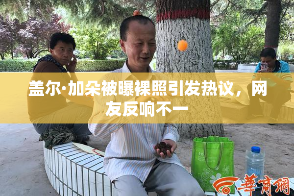 盖尔·加朵被曝裸照引发热议，网友反响不一