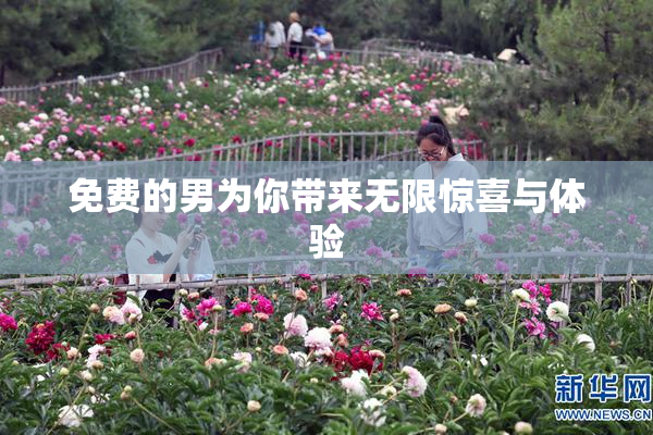 免费的男为你带来无限惊喜与体验