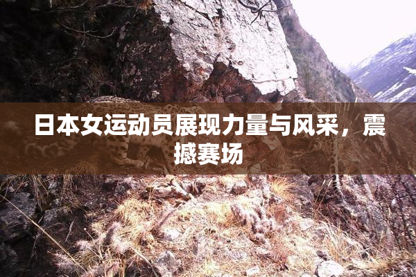 日本女运动员展现力量与风采，震撼赛场