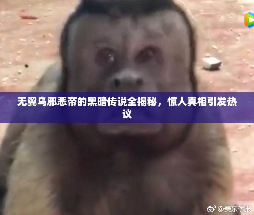 无翼乌邪恶帝的黑暗传说全揭秘，惊人真相引发热议