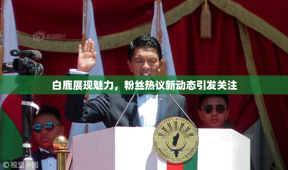 白鹿展现魅力，粉丝热议新动态引发关注