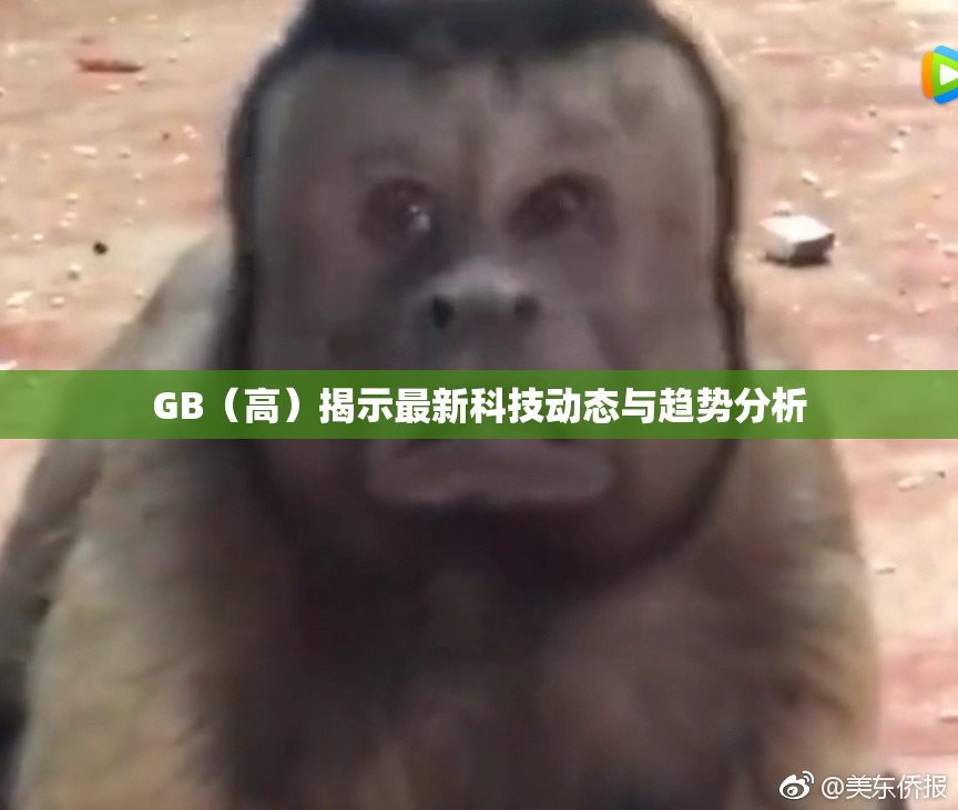 GB（高）揭示最新科技动态与趋势分析