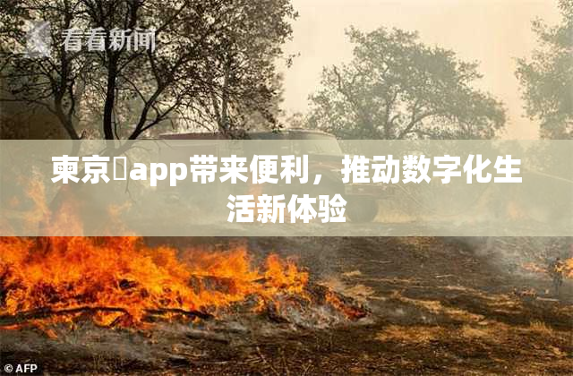 柬京埶app带来便利，推动数字化生活新体验