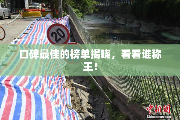 口碑最佳的榜单揭晓，看看谁称王！