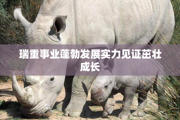 瑞重事业蓬勃发展实力见证茁壮成长